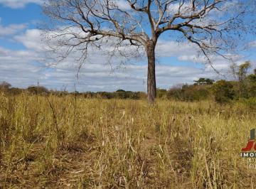 Foto 01 · Fazenda, Buritis, Buritis, MG