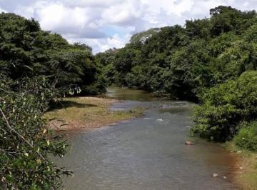 Foto 07 · Fazenda, Flores de Goiás, Formosa, GO