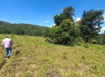 Rural de 6 quartos, Minaçu · FAZENDA - MINAÇU GOIÁS| DUPLA APTIDÃO, RICA EM ÁGUA C/ 678 HECTARES (140 ALQ)