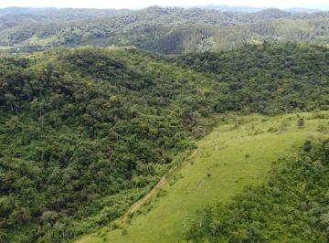 Foto · Fazenda à venda em Campina Grande do Sul - PR