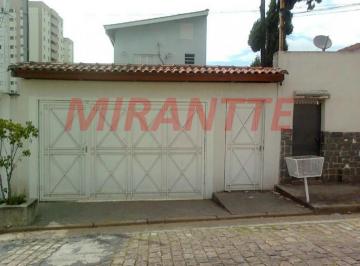9026ca77c70bb4c702617b78e51d4d0e.jpg · Terreno