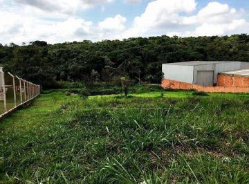84331_imFu581O78_84331640a16714344e.jpg · ÁREA,0 Dormitorio(s) bairro Aparecidinha