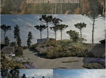 Foto 01 · Oportunidade na Serra de Campo Alegre