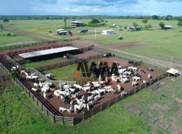 46366e743b6a5481fb51d7351323ea3fac17ec0a · Fazenda à venda, 62800000 m² por R$ 130.000.000,00 - Zona Rural - Paranatinga/MT