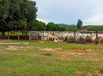 Rural de 3 quartos, Colinas do Sul · FAZENDA DUPLA APTIDÃO, COLINAS DO SUL-GO