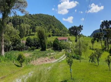 Foto 01 · Sítio em Nova Petrópolis - Pinhal Alto