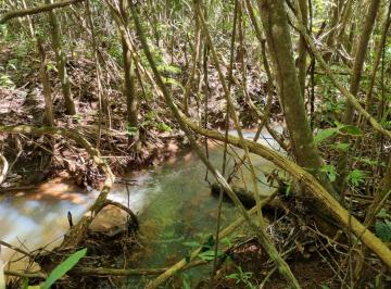 Rural , Brasília · CHÁCARA NA DF - 250 KM 8,5 - RIACHO CAPÃO DA ERVA - SOBRADINHO 