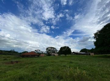 Rural · 96800m² · Sítio no Córrego do Campo - Três Fronteiras/SP