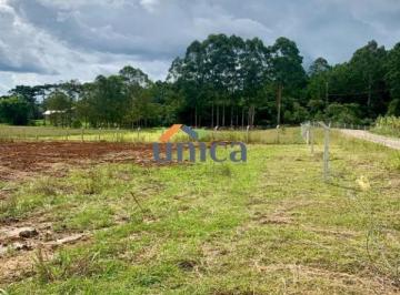 Foto 05 · Terreno - São Bento do Sul