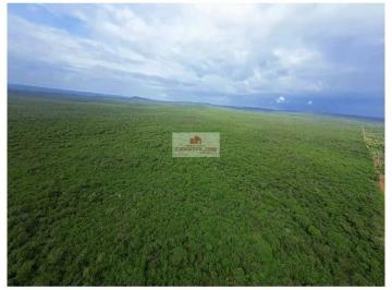 e517d21d7eccf460ddfb81b5258ca048.jpg · Fazenda na região de Pimenteiras-PI, com 2400 hectares, dupla aptidão