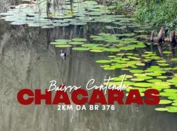 202604171442082228.jpeg · Chácara para Venda em São José dos Pinhais, Contenda