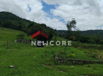 Rural · 30m² · 1 Quarto · Sítio em rua do feixe - córrego grande - Adrianópolis/PR