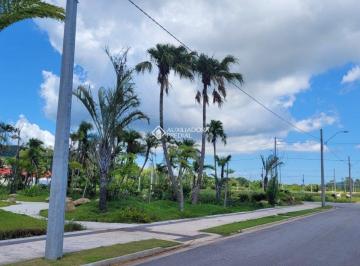410865_i05l1TgO41L1L4862wO6g_410865641329409ba87.jpg · TERRENO 450M NO NORTE DA ILHA!