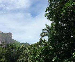 Foto 01 · Apartamento - São Conrado