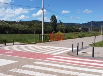 24313380_g.jpg · 
                                Terreno a venda no Loteamento Alles Blau Norte em Igrejinha 
      