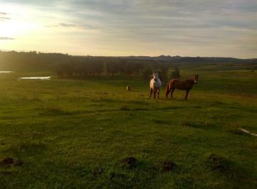 Rural de 1 quarto, Santana do Livramento · Fazenda com 71 Hectares em Santana do Livramento/RS Apenas 15km da Cidade