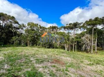 Foto 12 · Chacara, Fazenda, Sitio, Imobiliaria em Campo Alegre