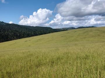 Rural , Biritiba-Mirim · ÁREA 20.000 METROS - PARECE A PAISAGEM DO WINDOWS DE TÃO BELA