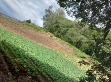 Terreno · 3000m² · Terreno à venda no bairro Galopolis