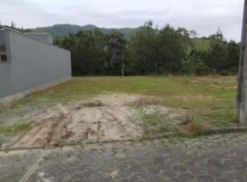 Foto 13 · TERRENO COMERCIAL A VENDA EM MARGINAL DA BR 280