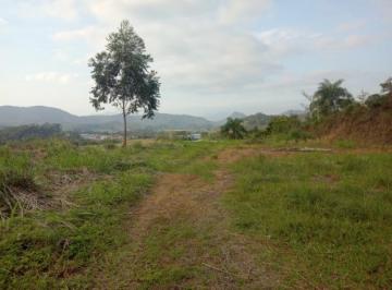 Foto 01 · ÁREA/TERRENO IDEAL PARA CONSTRUÇÃO DE GALPÕES E PRÉDIOS MULTIFAMILIARES.