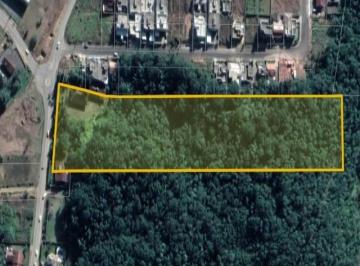 Foto 01 · ÁREA/TERRENO IDEAL PARA CONSTRUÇÃO DE GALPÕES, LOTEAMENTO E PRÉDIOS MULTIFAMILIARES.