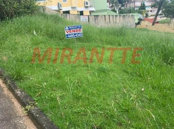 1cb706b582e6e7d921367a23108cb464.jpg · Terreno