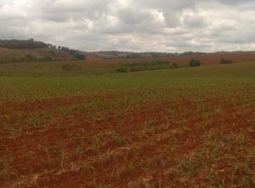 Rural · 210ha · 1 Quarto · Fazenda 210 hectares entre São Gonçalo do Sapucaí e Cordislândia/MG. Plantação Soja e milho.