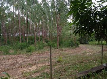 Rural · 56ha · 1 Quarto · Fazenda 56 HECTARES em Curvelo apenas 8 km da cidade. Casa, pomar, plantação eucalipto, curral