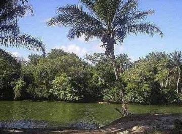 Lote, Portão · Terreno à venda - no Portão
