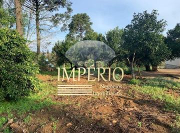 Foto 01 · Sitio, Lajeadinho, Igrejinha, RS