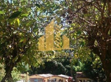 Rural · 89000m² · 5 Quartos · Rurais à venda - no Centro
