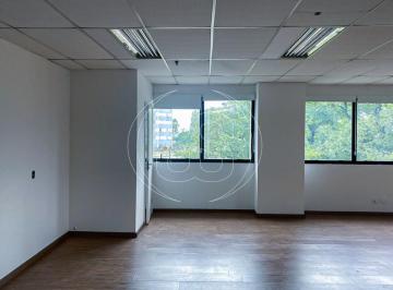 Comercial · 242m² · 4 Vagas · CONJUNTO COMERCIAL - SANTO AMARO - 242 M² - 4 VAGAS - ALUGUEL DE 17.000,00