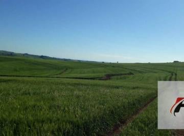 0e3f700df8befff944c994f3be505903652ad428 · Fazenda à venda, 2988700 m² por R$ 37.000.000,00 - Rural - Faxinal/PR