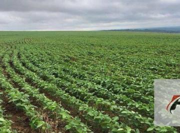 a9f4c16a1e30ed22ba96f8ec18c36f684b14afdb · Área à venda, 1234200 m² - Miringuava - São José dos Pinhais/PR
