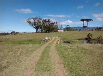 411803_i5J0MD3R954_411803641da0c721278.jpg · Terreno no bairro Bela Vista