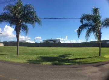 Foto 01 · Terreno, Condominio Palm Park, Estiva Gerbi, SP