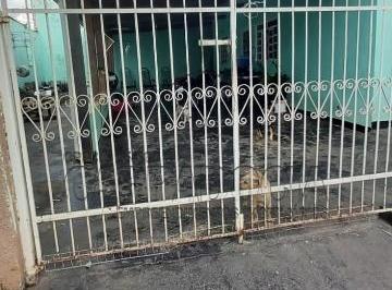 2023/03/987304ce791a2b617995cbc1ab85d453.jpg · CASA PARA VENDA JARDIM YOLANDA