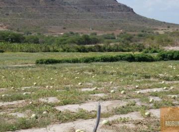 Foto 02 · Fazenda à Venda  16.000 Hectares em Ibó-abare , Bahia projetos de energia solar, reflorestamento e p