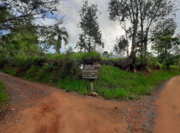 Gravatai lote foto 1 · TERRENOS EM GRAVATAÍ. SEIS LOTES EM LUGAR MUITO TRANQUILO.