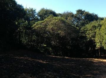 Foto 02 · Terreno à venda no Altos do Morumbi em Vinhedo/SP