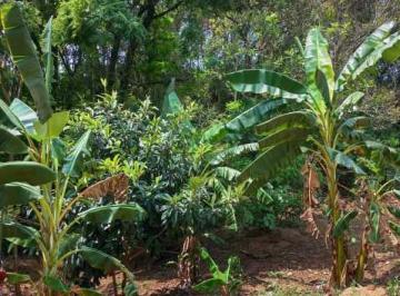 Rural · 350m² · 3 Quartos · SITIO EM ITATIBA