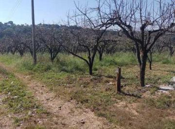Rural · 60000m² · 3 Quartos · 6 Vagas · Rurais à venda - na Zona Rural