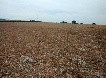 971d471a6de230520525091eb13580a9.jpg · ÁREA À VENDA, 31.000M² POR R$ 1.700.000,00 - PINHAL - BOITUVA/SP