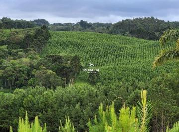 Chácara em Tijucas do Sul - Ambrósios (CH0009) · Chácara a venda com Plantação de Pinos em Tijucas do Sul