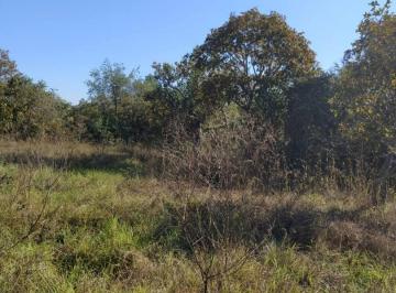 Fazenda na entrada do Jatobá para venda · Fazenda na entrada do Jatobá para venda