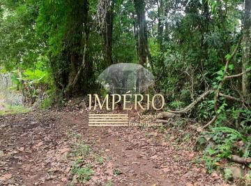 Foto 01 · Sítio à venda em Três Coroas-RS, bairro Figueira, com 2 hectares de área!