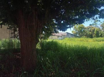 vendo ou alugo terreno super bem localizado no centro de Campos em frente à Faculdade de Direito de Campos cód 16249 · "Terreno 3500m² à venda ou locação no Centro de Campos, RJ"