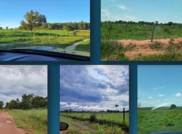 Rural de 7 quartos, Três Lagoas · FAZENDA PARA PECUÁRIA E EUCALIPTO