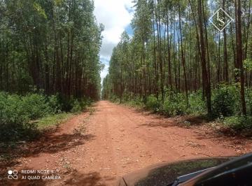 Rural · 3300ha · 1 Quarto · FAZENDA LOCALIZADA NA REGIAO DE ENGENHEIRO NAVARRO MG COM ÁREA DE 3.300 HECTARES, PORTEIRA FECHADA